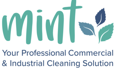 Mint commercial and healthcare 